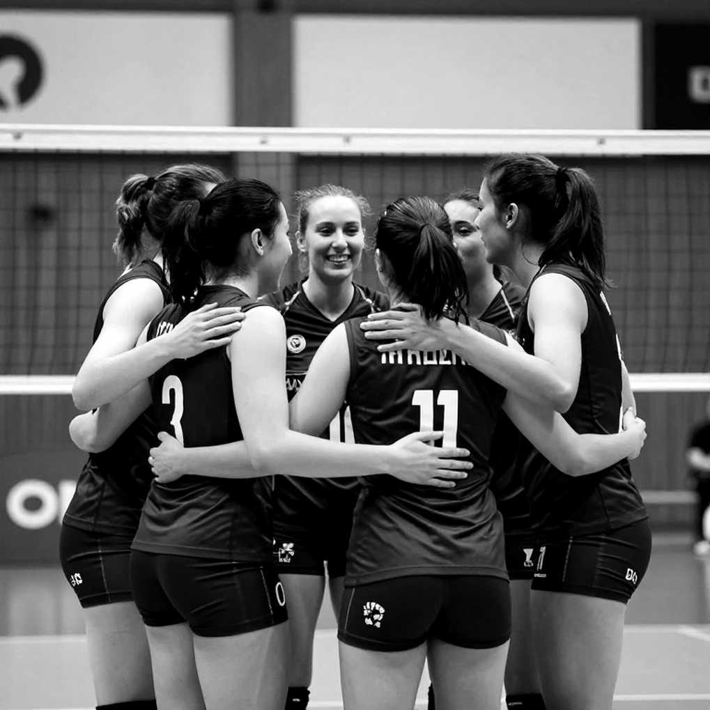 Brazil Claim 24th South American Women's Volleyball Title, Argentina Fallen in Three Sets Brazil Claim 24th South American Women's Volleyball Title, Argentina Fallen in Three Sets